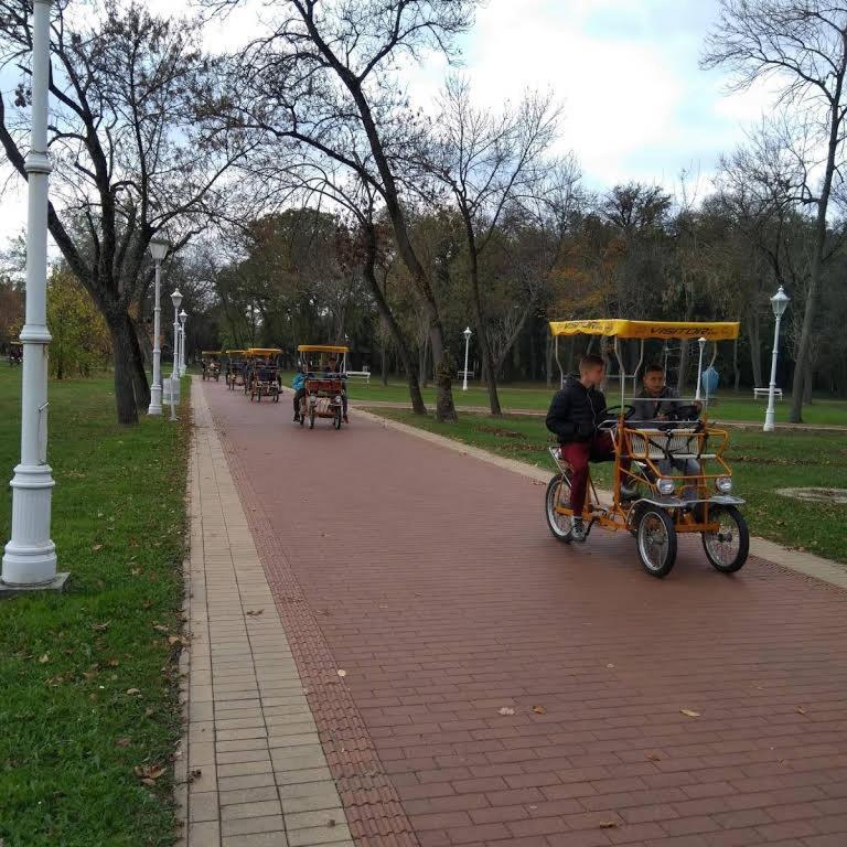 Apartman Buba Palić Esterno foto