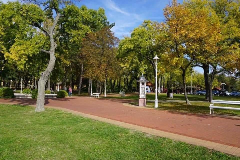 Apartman Buba Palić Esterno foto