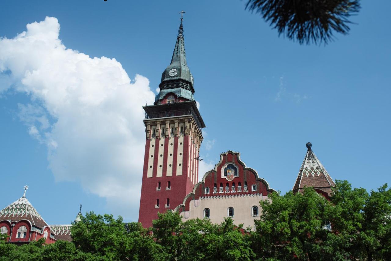 Apartman Buba Palić Esterno foto