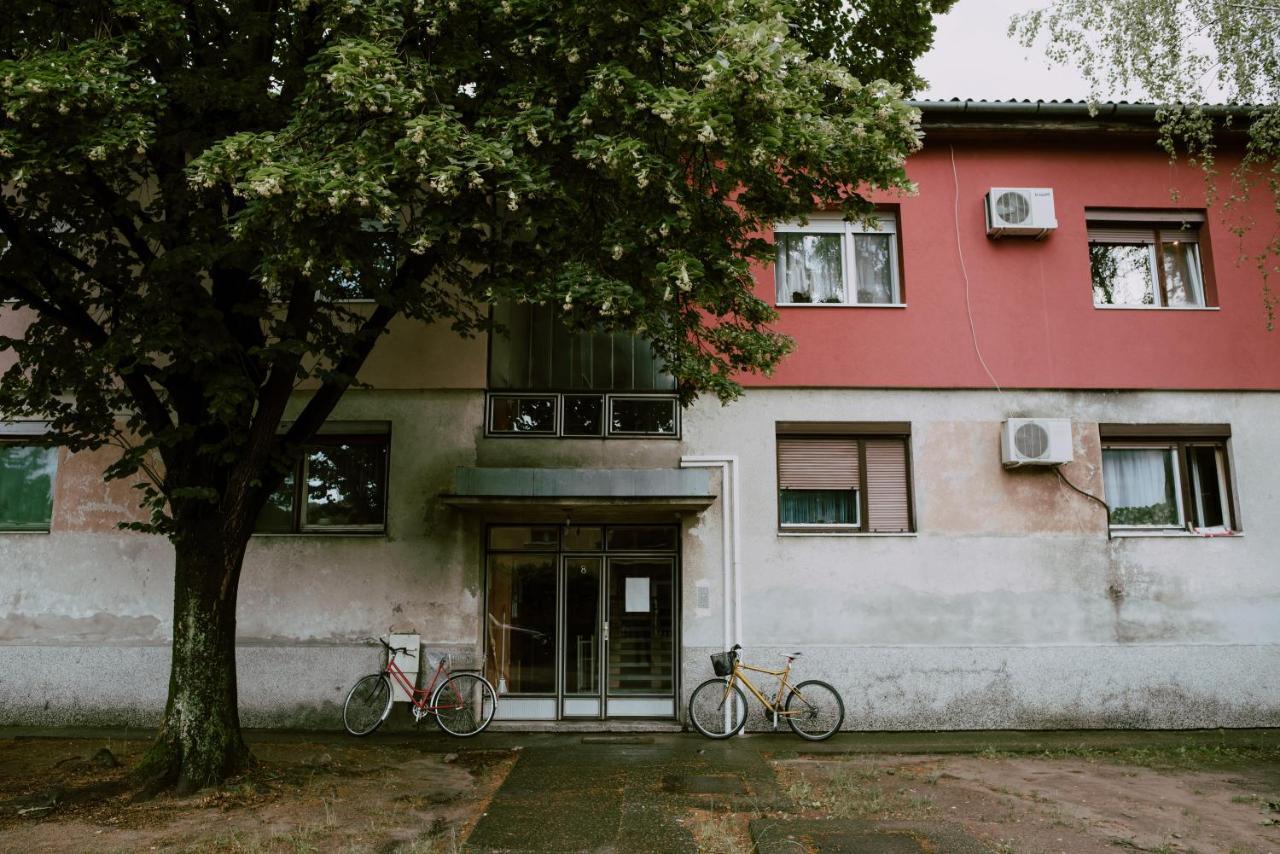Apartman Buba Palić Esterno foto