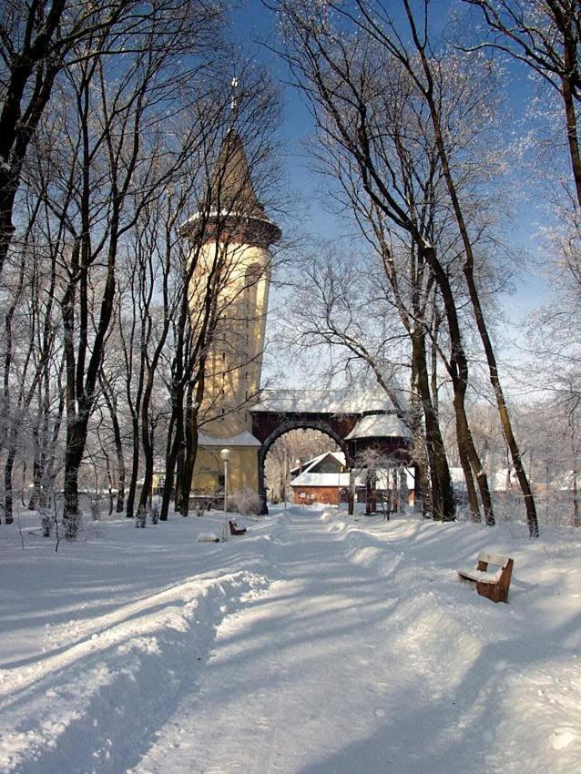 Apartman Buba Palić Esterno foto