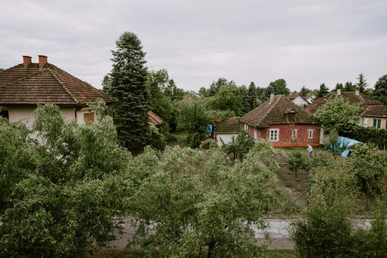 Apartman Buba Palić Esterno foto